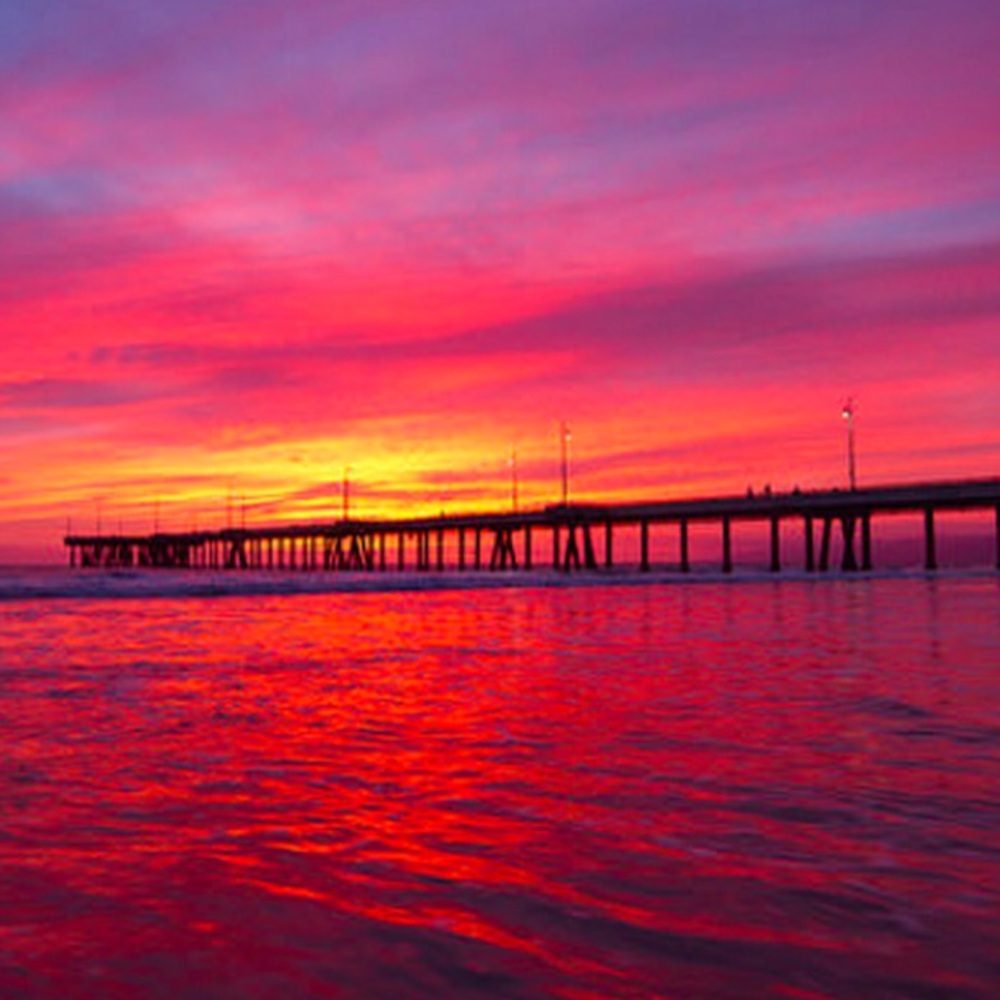 ✨Trade for my amazing new friend✨